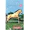 Top 25 Horse Books for Kids