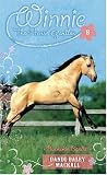 Buckskin Bandit (Winnie the Horse Gentler #8)