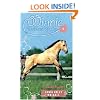 Buckskin Bandit (Winnie the Horse Gentler #8)