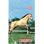 Buckskin Bandit (Winnie the Horse Gentler #8)