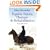 Equine Injury, Therapy and Rehabilitation