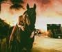 Dani California