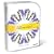 Microsoft Expression Media 2 Mac/Win