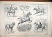 1895 Horses Hunters Jumping Water Undocked Tail Print