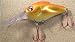 Water and Woods Slab Shad Deep Crankbait Fishing Lure WSS06TR Musky Muskie Pike Striper Barramundi Snook Tarpon Saltwater Freshwater Peacock