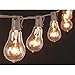 Gerson Edison PS50 Bulb String Lights - 1 Each