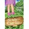 Smart Christian 'Chick-Lit' Books!