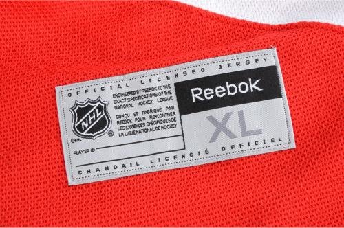 Dylan-Larkin-Detroit-Red-Wings-Autographed-2016-Stadium-Series-Reebok-Premier-Jersey-Fanatics-Authentic-Certified