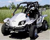 Go Buggy 250cc Two Seater