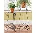 Curlicue Iron Plant Stands