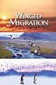 Winged Migration