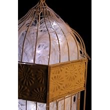 Fortune Products FFL-91W Fantasia Fairy 91 LED Light, 190" Length, White