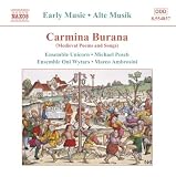 Carmina Burana (Posch, Ensembles Unicorn and Oni Wytars)