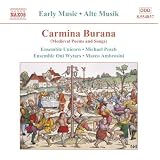 Carmina Burana (Medieval Poems and Songs)von "Ensemble Unicorn"