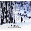 If on a Winter'S Night (Ltd.Deluxe ed.)