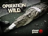 FWC: Back in Action