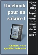 Un ebook pour un salaire : comment gagner de l'argent en &eacute;crivant et vendant des ebooks sur internet.