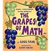 Fun with Math? Believe it or not, it does exist!