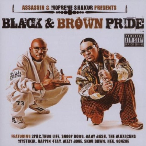Produkt-Bild: Black and Brown Pride
