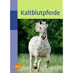 Kaltblutpferde