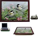 51p3b2aC2BL. SL160  Buy Garden Birds Now