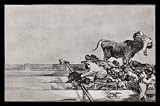 Francisco de Goya y Lucientes (Follow the 