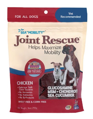 Ark Naturals Sea Mobility Chicken Jerky for Dogs 9-Ounce Pouches Pack of 2B001E10B6C