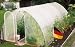 Beckmann Foliengewächshaus 3 x 12 m