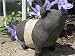 Garden Welcome Oreo Pig Statue Garden Indoor Outdoor