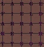 Keith Tyson: Large Field Array