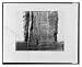 Historic Print (L): Gournah (Thèbes) - colosse de gauche - décoration de la face nord...