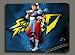 STREET FIGHTER 4 LEGEND OF CHUN-LI ORIGINAL DIGITAL PAINTING ON CANVAS W GALLERY WRAP STYLE FRAMING 26X20X1.5"