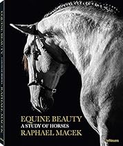 Equine Beauty: A Study of Horses