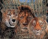 (16x20) African Wildlife (Big Cats) Chardonn Art Print Poster