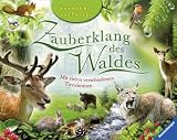 Produkt-Bild: Zauberklang des Waldes