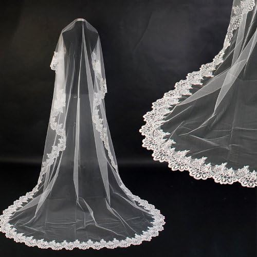 Flying dragon Beautiful Veil 3 Meters Long Single-layer Computer Embroidery Lace Edge Bridal Wedding Veil (Ivory)