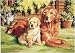 Painting On Canvas Acrylic Paint By Number Kit 11X14-Its A Dogs Life