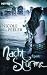Nachtstürme: Roman