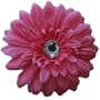 Posies Accessories Medium Hot Pink Gerber Daisy Hair Clip