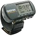 GARMIN 010-00329-05 Forerunner 101 Wrist-Mounted GPS Fitness Computer