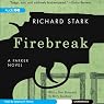 Firebreak: A Parker Novel, Book 20