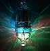 Elmax DEEP DROP FLASHING LED LIGHT FOR FISHING (MULTICOLOR FLASH)