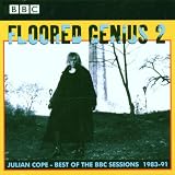 Floored Genius Vol.2