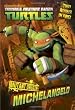 Mutant Origin: Michelangelo/Raphael (Teenage Mutant Ninja Turtles) (Junior Novel)