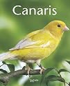 Canaris