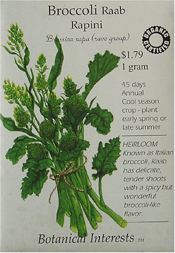 Broccoli Raab Certified Organic Heirloom Seeds 350 Seeds
