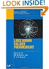 Large Hadron Collider Phenomenology (Scottish Graduate Series)