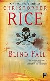 Blind Fall: A Novel