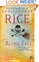 Blind Fall: A Novel
