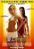 The Hottie and the Nottie Poster Taiwanese 27x40 Paris Hilton Joel Moore Christine Lakin